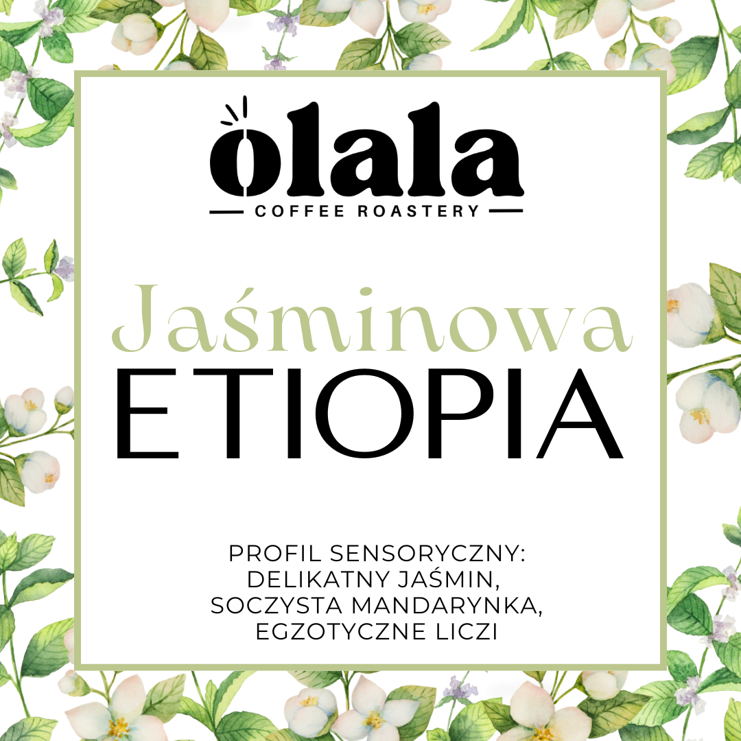 Jaśminowa Etiopia [przelew]
