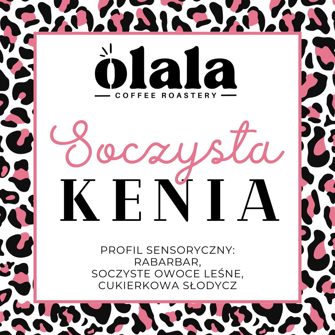 Soczysta Kenia [przelew]